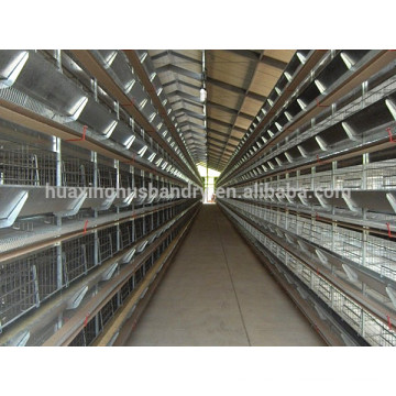 Automatic poultry broiler feeding system for farming